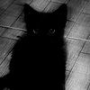 chris_3118